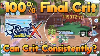 100% Final Critical Enough For Consistent Critical Hits? [ROX]