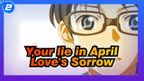 Your lie in April|Love's Sorrow_2