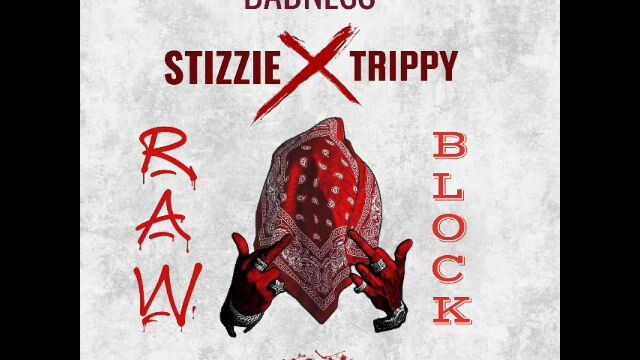 RAWBLOCK-BADNESS [Official Audio]