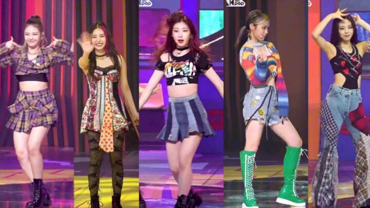 Video yang sangat lucu ITZY anjing tua LOCO satu klik untuk berganti orang