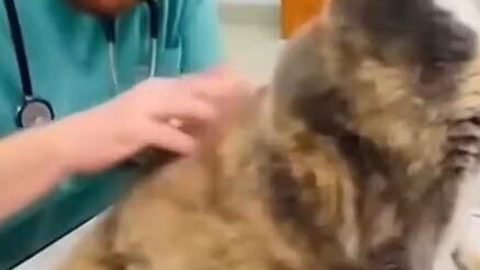 Eliminate!!!!!!!!! Hair!!!!!! Secret!!!!!!!!!