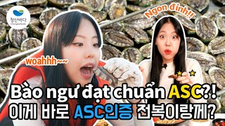 BÀO NGƯ SỐNG HÀN QUỐC | CÁC MÓN ĂN SIÊU NGON SIÊU BỔ DƯỠNG TỪ BÀO NGƯ