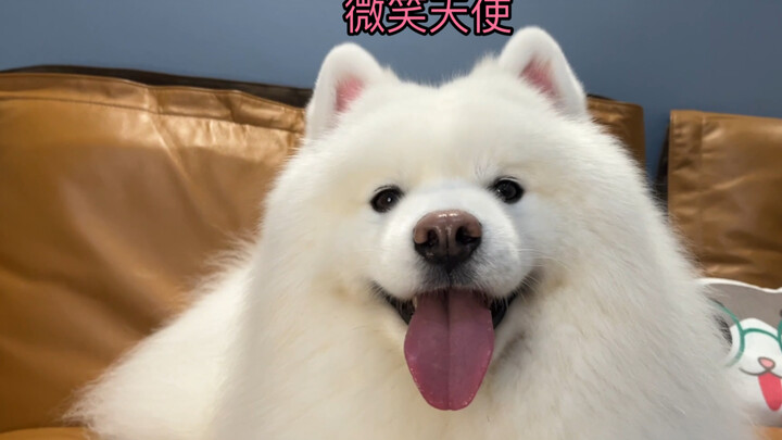 Aside from being cute, all that’s left is… just being cute (I’ve got dimples, too!)