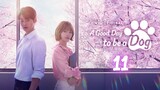 🇰🇷EP.11 | A GoodDay To Be A Dog [Eng Sub]