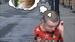 When the Cat Is Home Alone