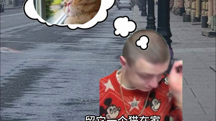 当猫咪独自在家时