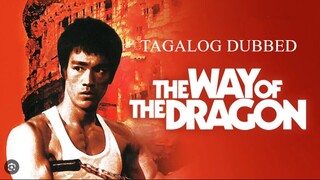 ᵀᴴᴱ WAY σϝ ƚԋҽ DRAGON ᴴᴰ | Tagalog Dubbed