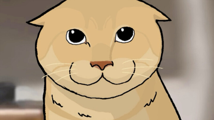 You might not know me, but you’ve probably seen the illustrations I’ve created.