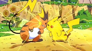 Sedikit pertengkaran antara Pokémon! Siapa yang lebih kuat, Kapichu atau Raichu!