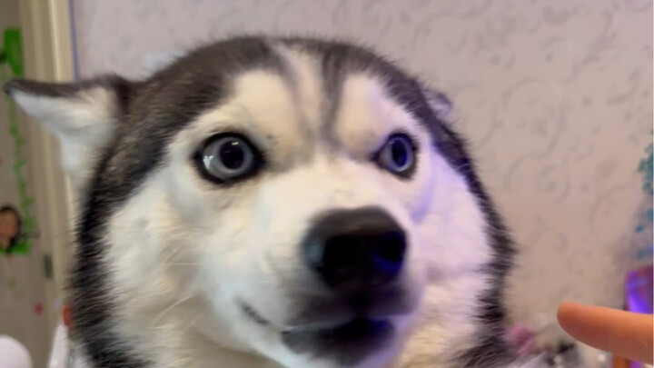 The second half of the scene where he sneaks a bite of ice cream—he gets slapped and feels a bit res