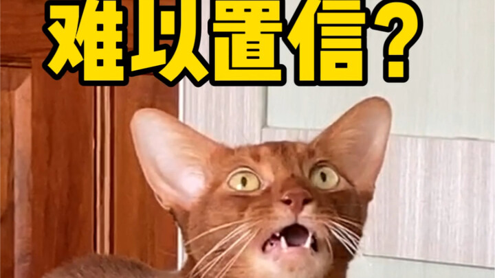 Could this be the legendary "harming the enemy by eight hundred while injuring oneself by a thousand