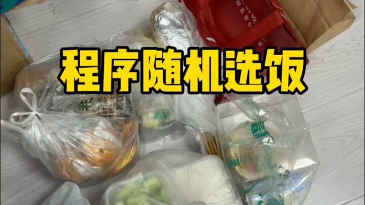 The program randomly picks a meal