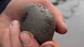 路边一个不起眼的小石头，也许见证了上亿年间的“沧海桑田”