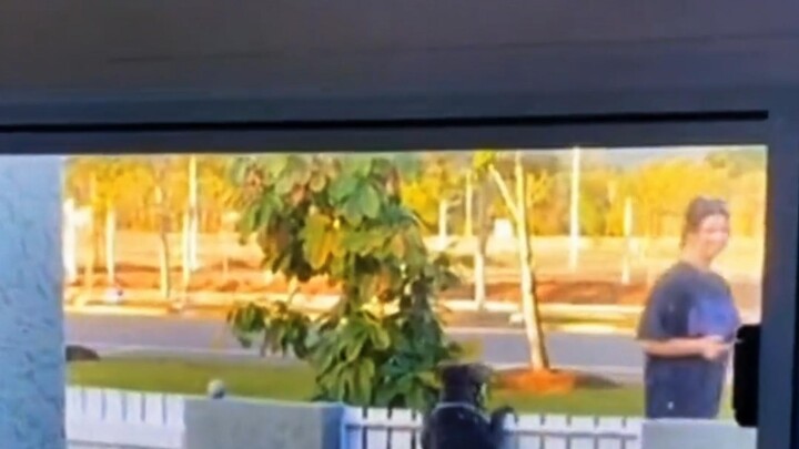 Một netizen nước ngoài nhận nuôi một chú chó hung dữ tên là “Bồn Tắm”. Vì ngoại hình không mấy ưa nh