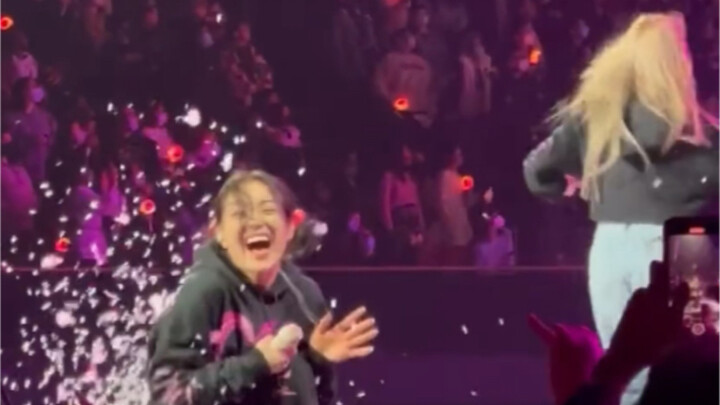 Anjing Shiba yang Kabur Setelah Selesai Bermain