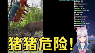 最沉浸的一集，梨安看猪猪吃陷阱里的食物急的大叫：别吃了别吃了😫