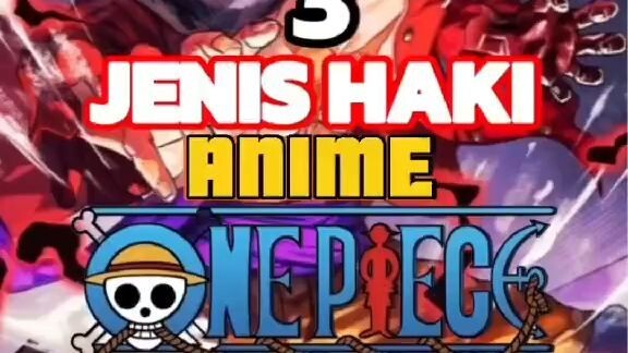 3 Jenis Haki Di Anime One Piece!