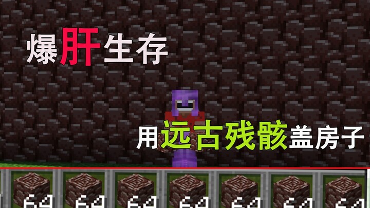[1.17 Survival #14] Grinding to build a structure with Ancient Debris will.....