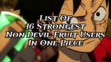 List Of 16 Non Devil Fruit Users In One Piece