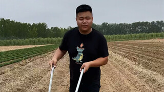 种花生