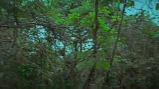 cid season 2 ep47 original (please don't reupload this )