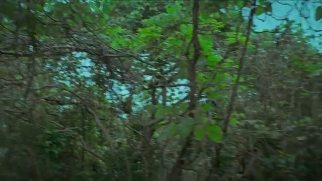 cid season 2 ep47 original (please don't reupload this )