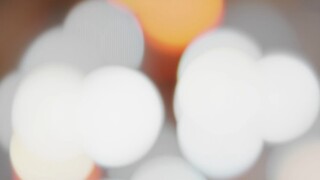 "البطاطا مجرد كذبة منك"