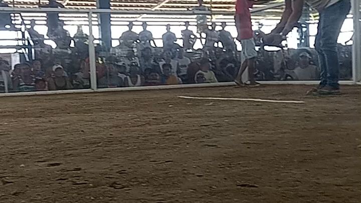 first fight win kalaban bigayin may Ari ng sabonga