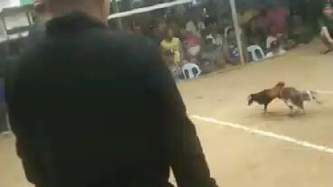 Win