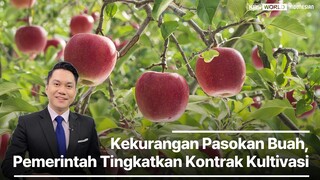 “Kekurangan Pasokan Buah, Pemerintah Korsel Tingkatkan Kontrak Kultivasi”