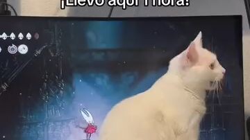El Peor Enemigo de Hollow Knight Silksong