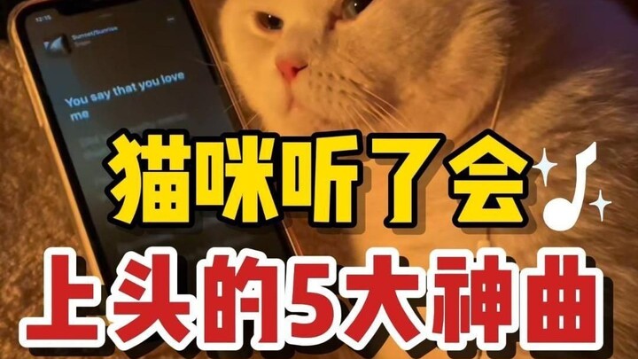 5 Divine Tracks That’ll Blow Cats’ Minds—and Even Mine!