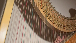 Come and listen to me, I play the other side of the harp! ! !