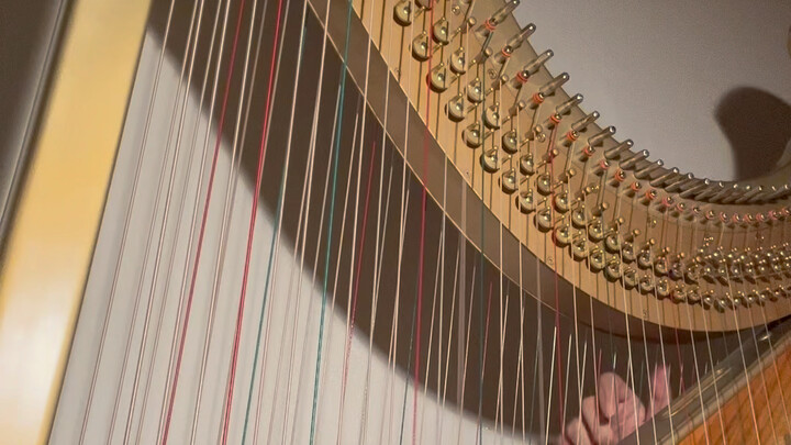 Come and listen to me, I play the other side of the harp! ! !