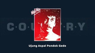 Iwan fals ujung aspal pondok gede