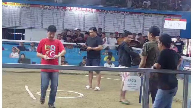 dehadong dehado!! 9months cobra hatch (art lopez hatch infuse to cobra)