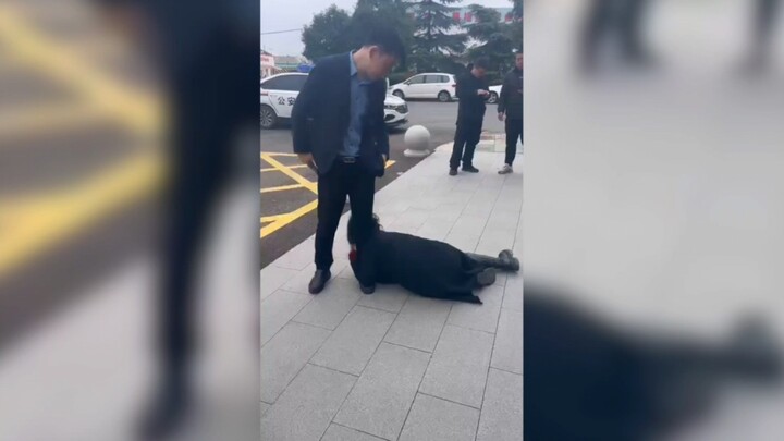 Seorang perempuan memeluk kaki di depan pintu ZHONGHUA SHIYISIJIAN untuk menuntut upah, sementara ia