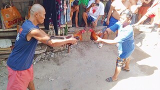 May 25 Pula vs Buyugin