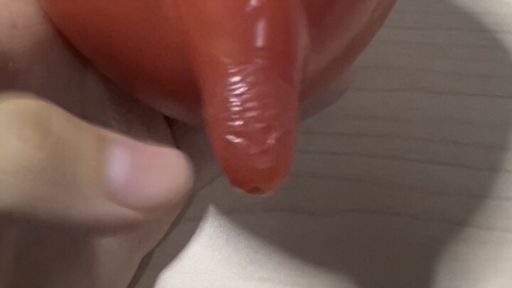 มะเขือเทศตัวใหญ่สุดพิสดาร