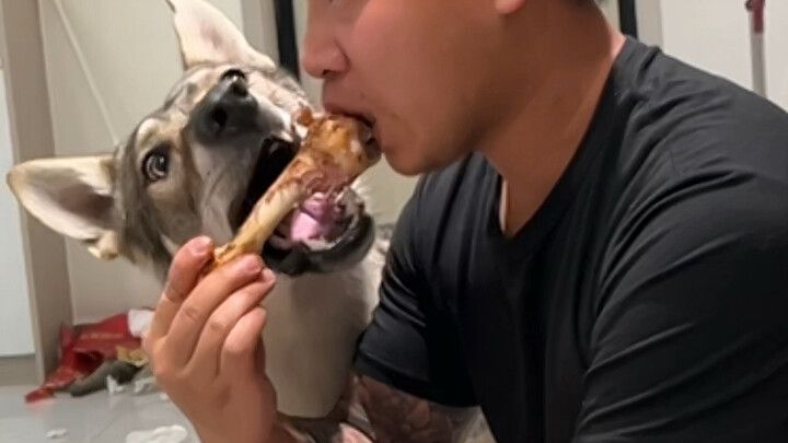 [Heartwarming] Man Shares a Delicious Meal with His Dog