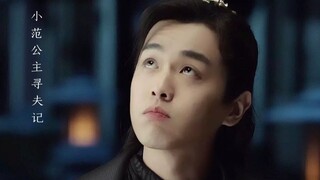 小范公主寻夫记