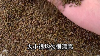 The cassia seeds I bought today are also adulterated—make sure to check carefully!