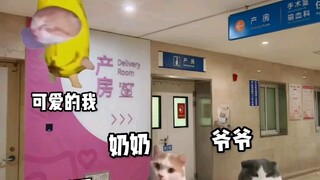 我是新来的【猫meme】up，点个关注吧