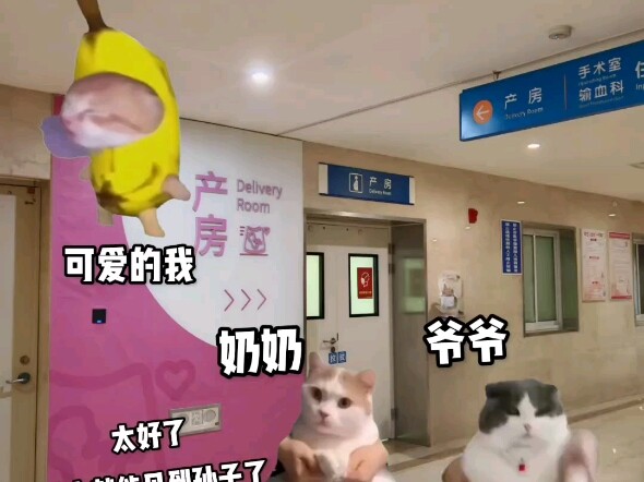 我是新来的【猫meme】up，点个关注吧