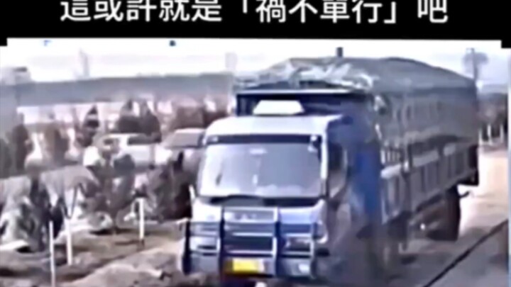 Có lẽ đây chính là họa vô đơn chí chăng?