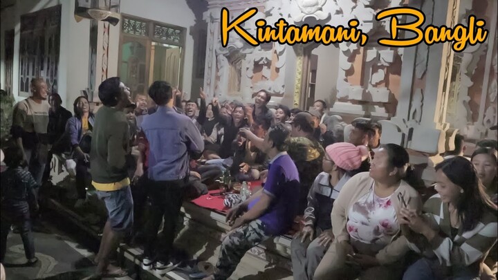 Budi Arsa Live Ngibur di Kintamani, Bangli