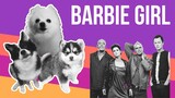 Barbie Girl but Dogs Sung It (Doggos and Gabe)