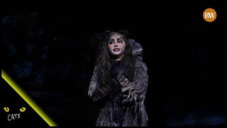 A sneak peek at the Manila run of CATS the Musical