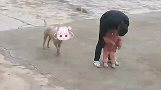Children will also be scared if a dog hits them!!!
