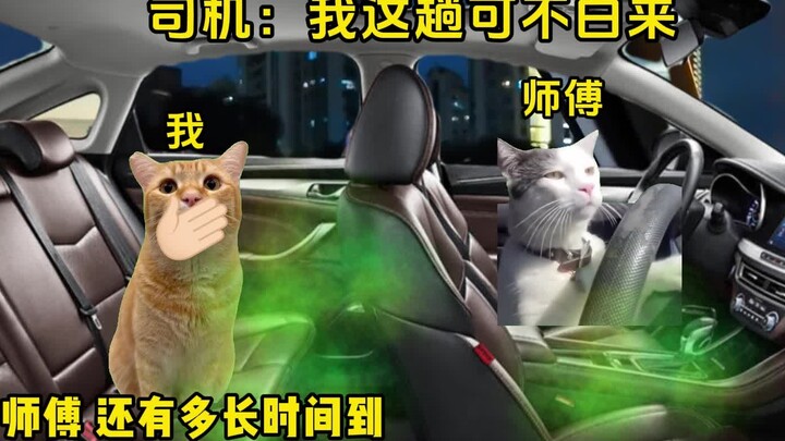 Driver: My trip is not in vain.